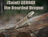 George the Dragon