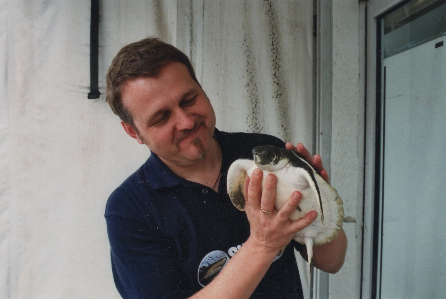 Steve and an endangered flatback sea turtle